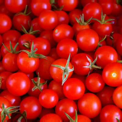 tomate cherry ecologico