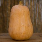 CALABAZA CACAHUETE SOMNATUR ECOLOGICO