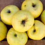 manzana golden ecologica