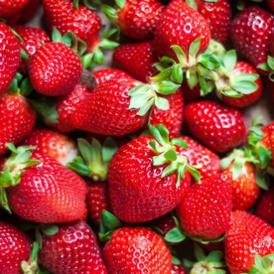 fresas ecologicas