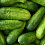 pepino ecológico