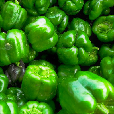 PIMIENTO LAMUYO ECOLOGICO - copia