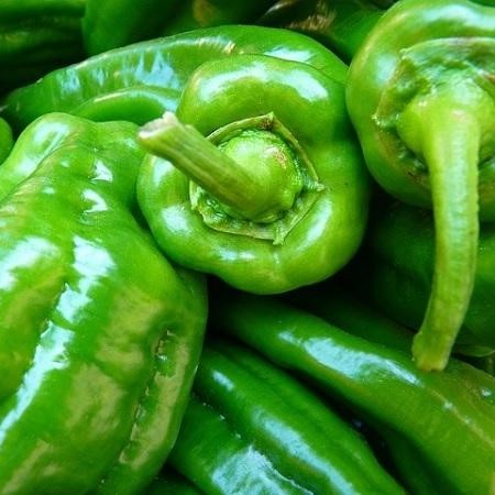 PIMIENTO ITALIANO ECOLOGICO